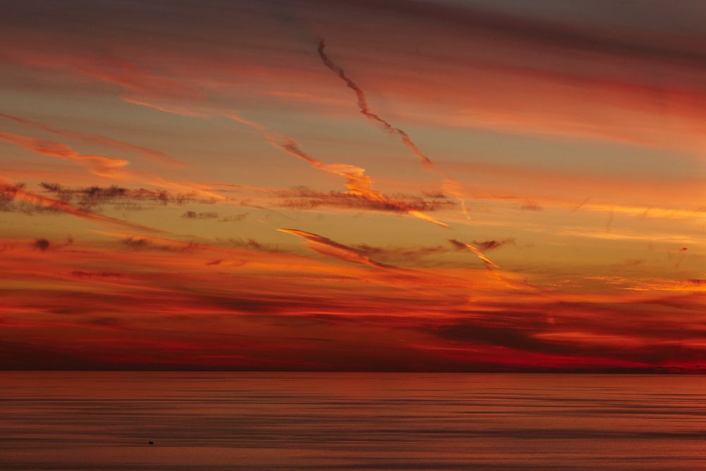 Photograph by Елена Звягина