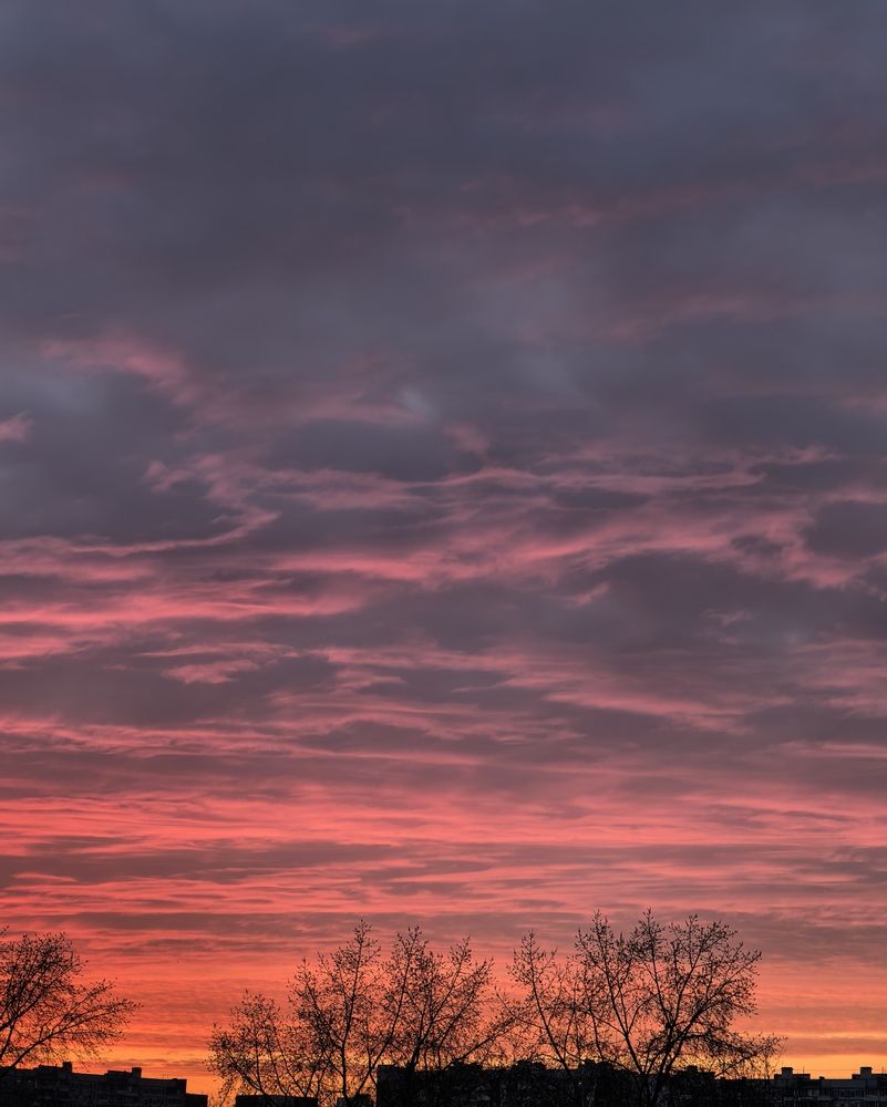 Photograph by Серафима Силина
