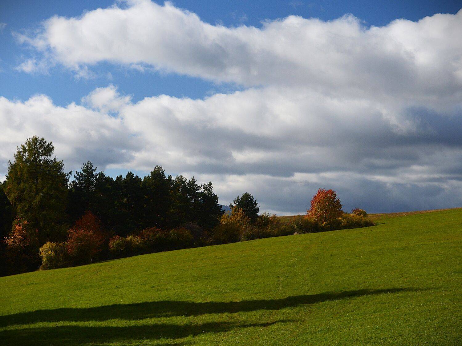 Photo #13488381