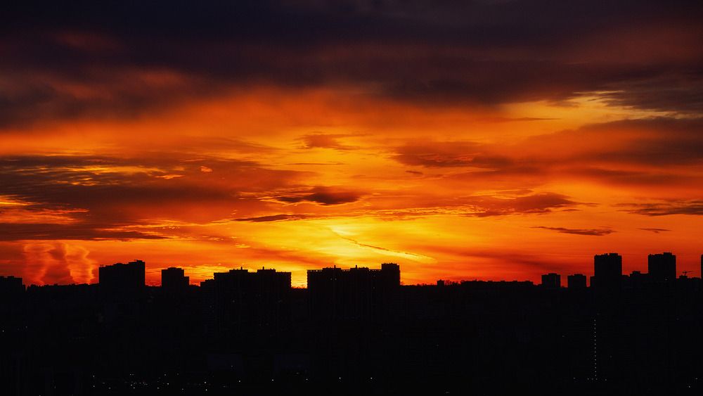 Фотография автора Вербицкий Петр