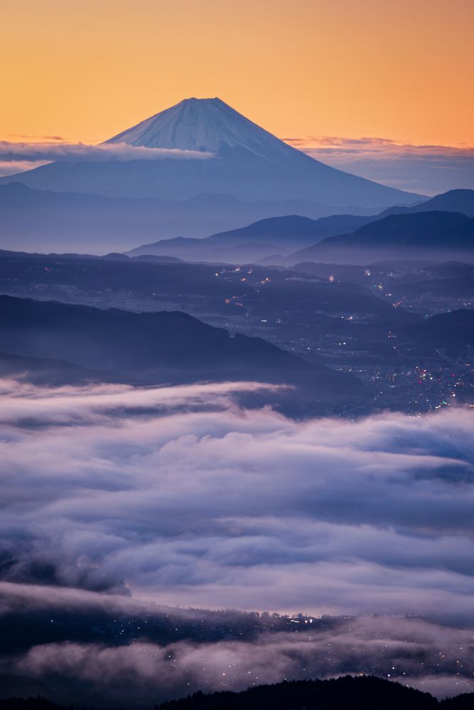 Photo #13488586