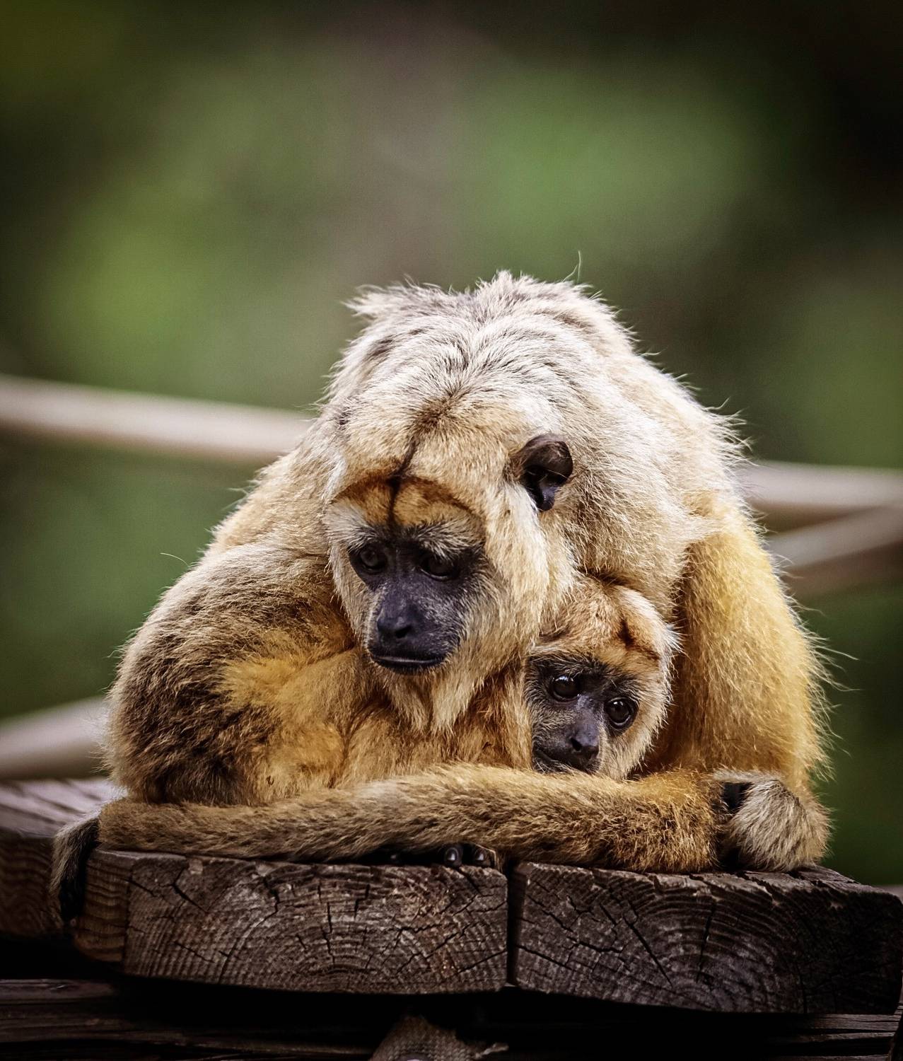 Photo #13488644
