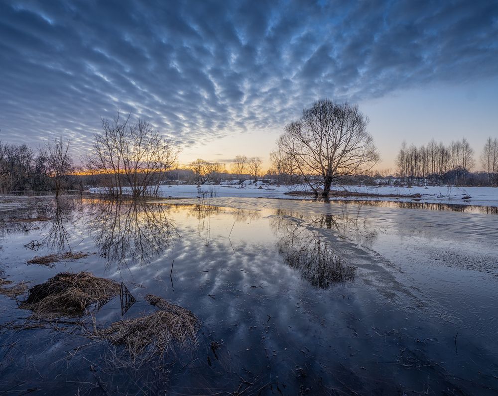 Photograph by Андреев Николай