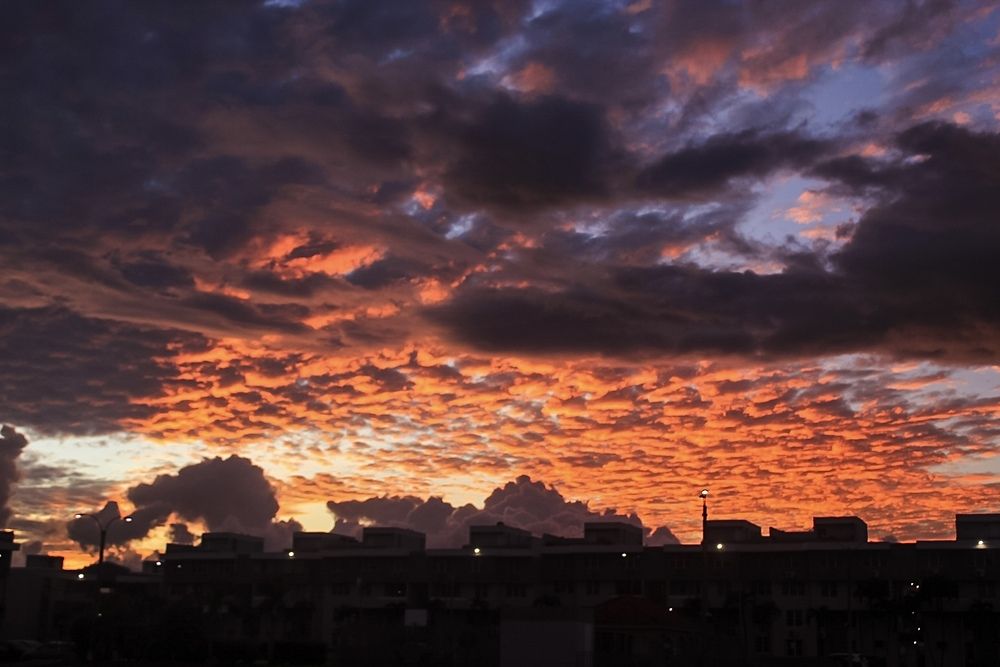 Photograph by Jose Otero