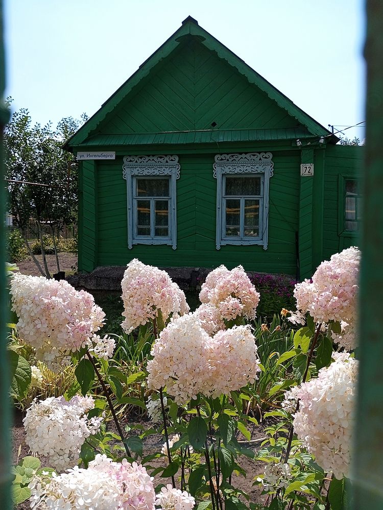 Через щëлочку в заборе