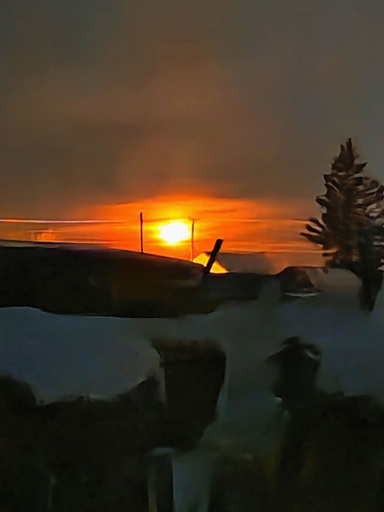 Photograph by Любовь Лунина