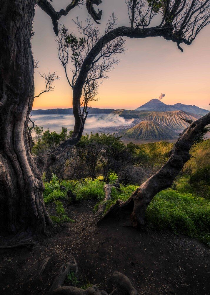 Sunrise over Mount Bromo