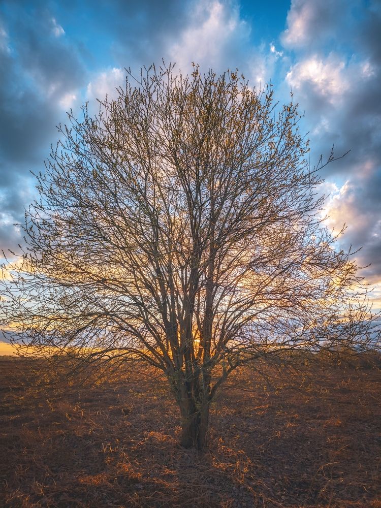 Photograph by Кирилл Сидоров