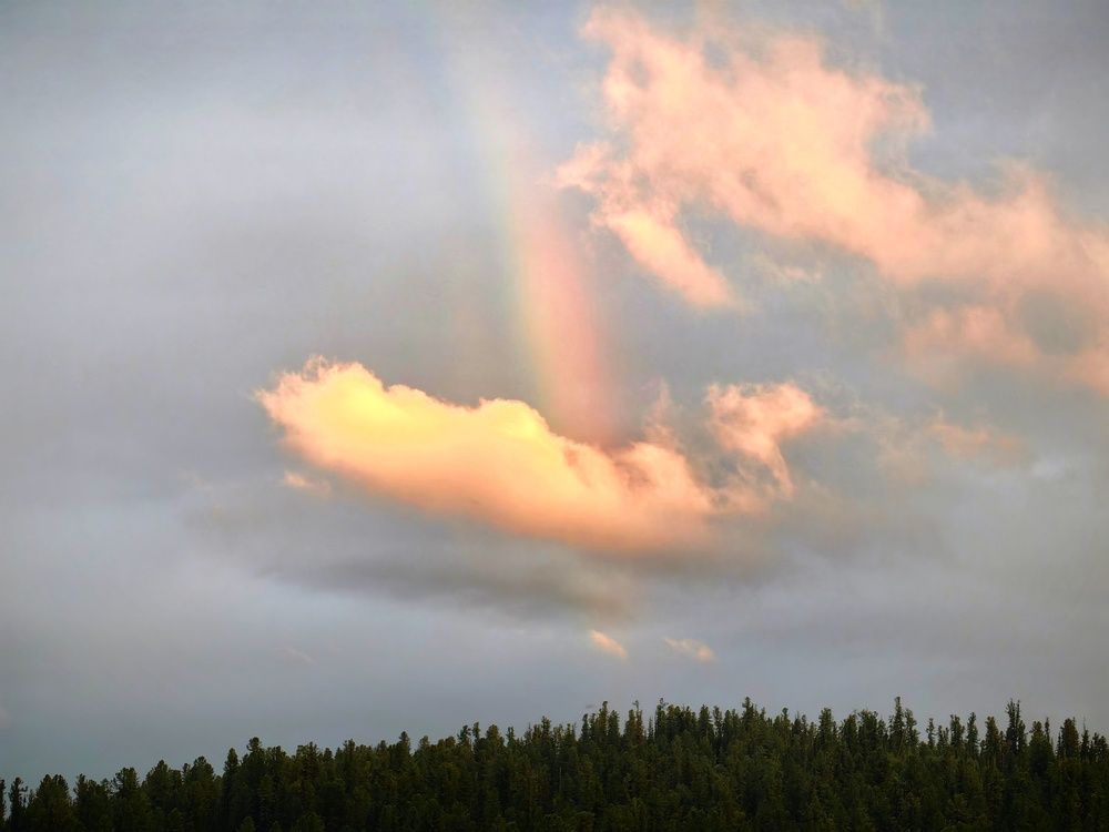 Photograph by OLGA MIKHNEVICH