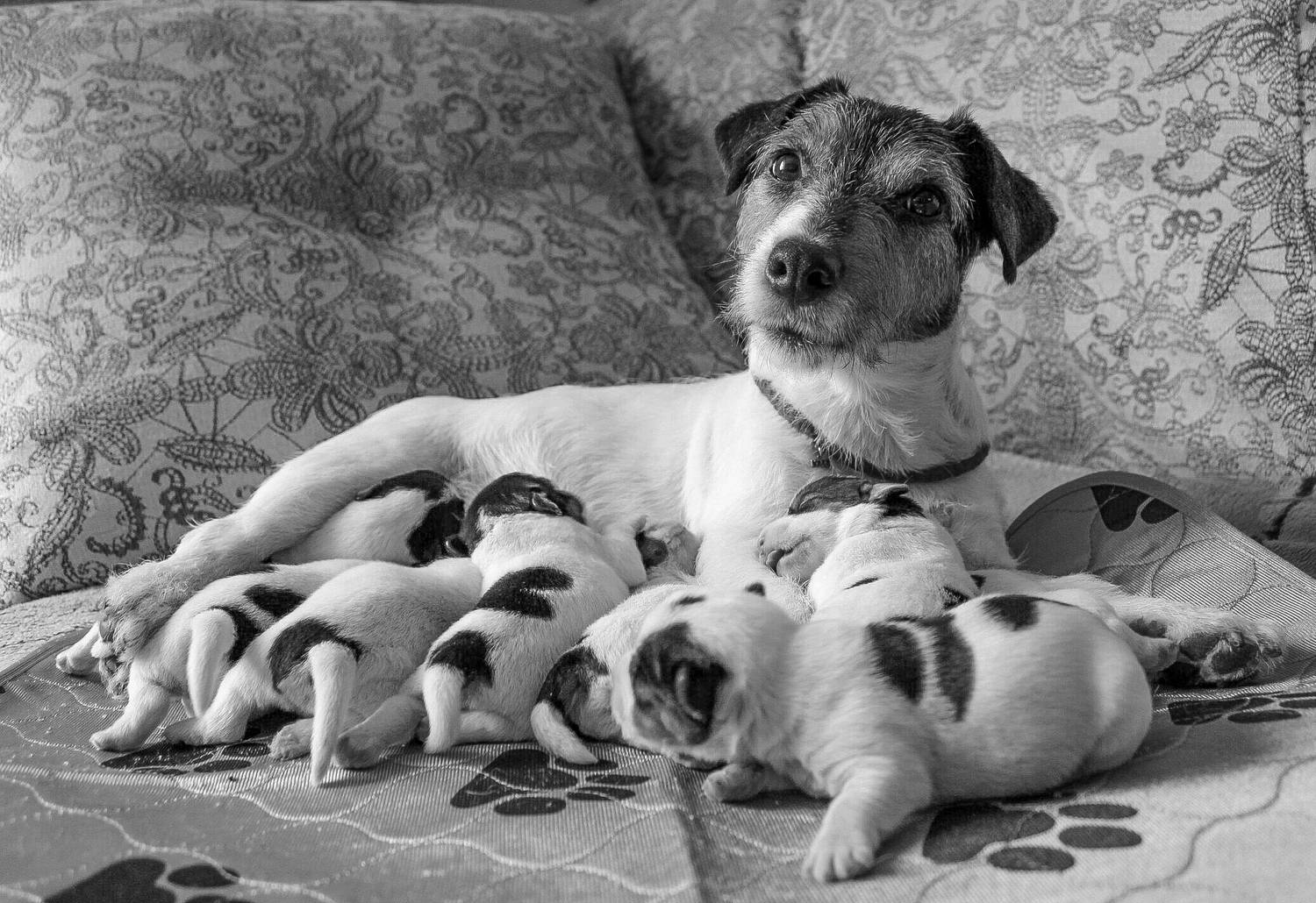 Фотография #13489466