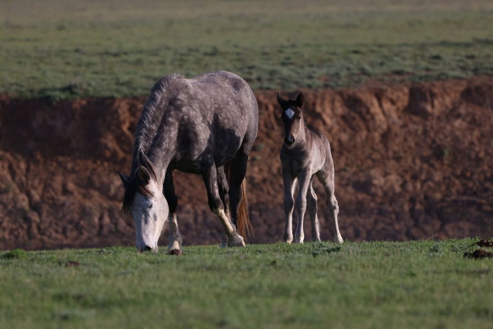 Photograph by Одаренко Ольга