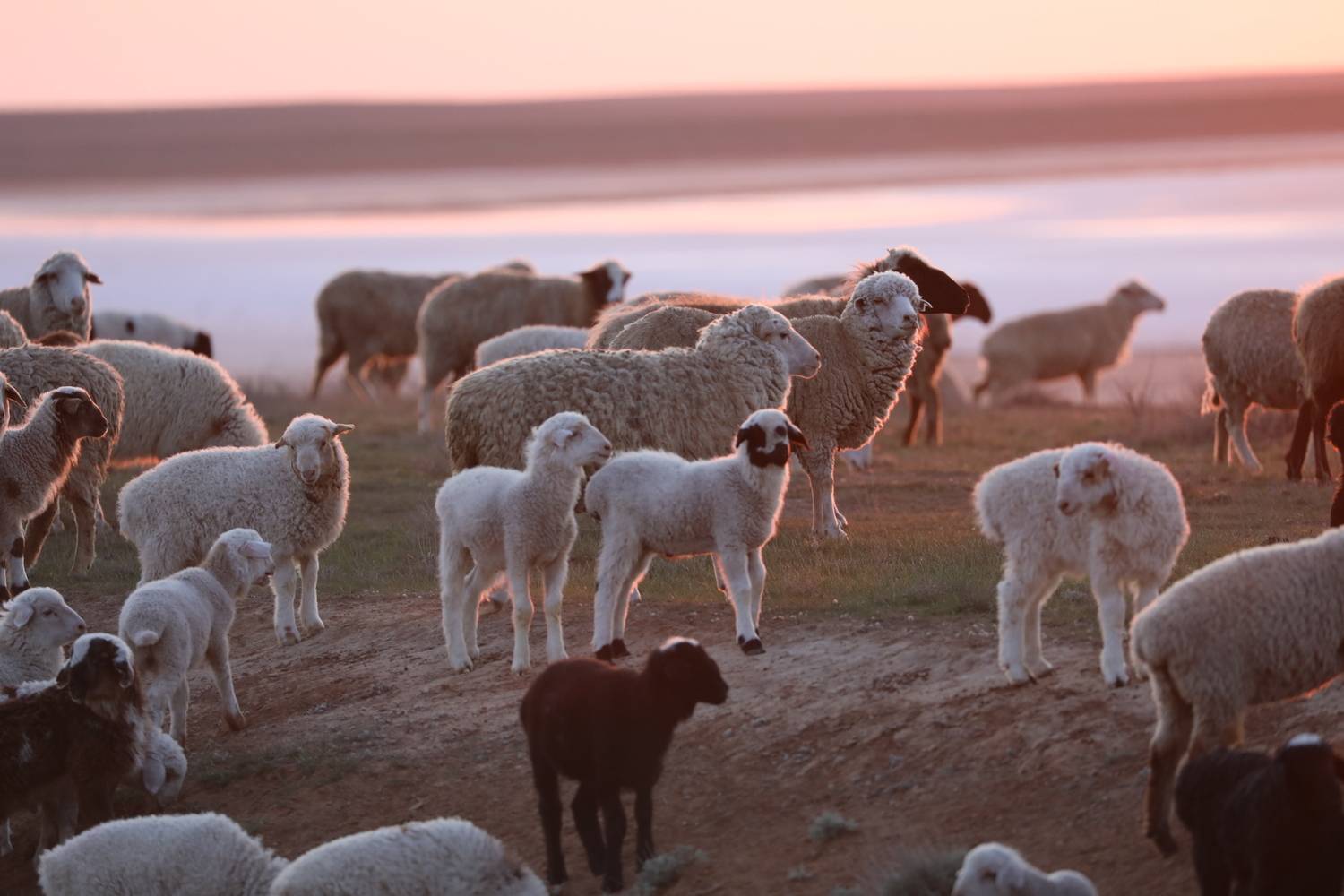 Фотография #13489555