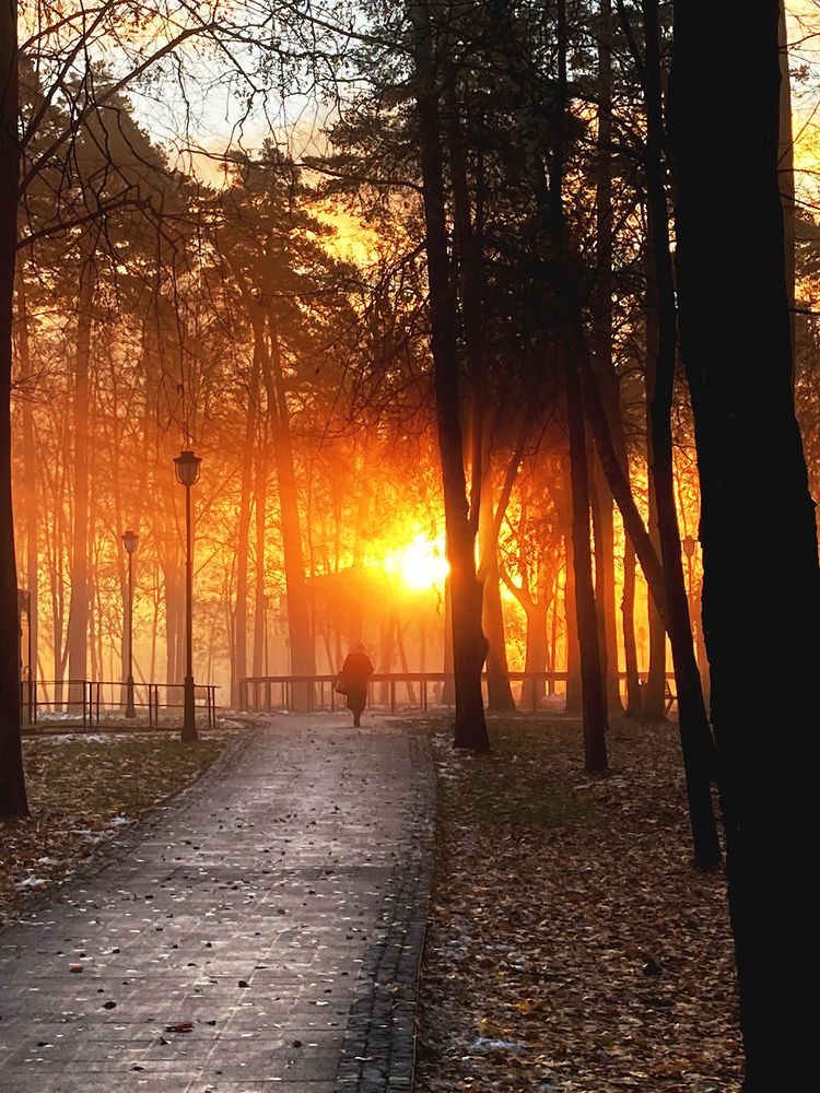 Photograph by Сергей Демидов