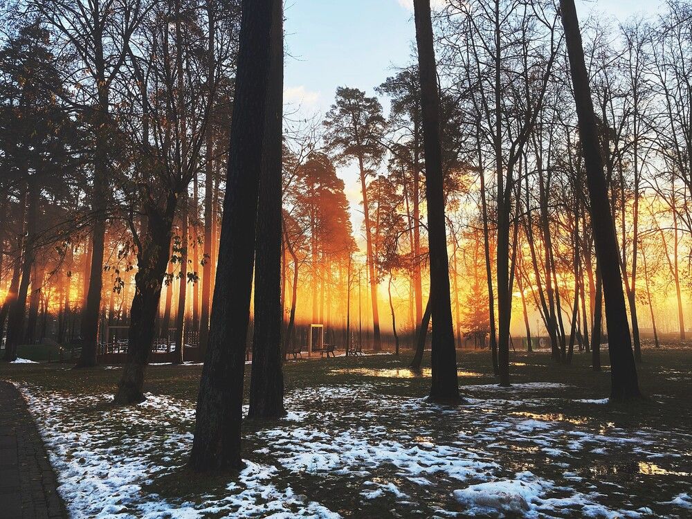 Photograph by Сергей Демидов