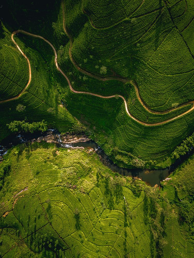Lines of the land