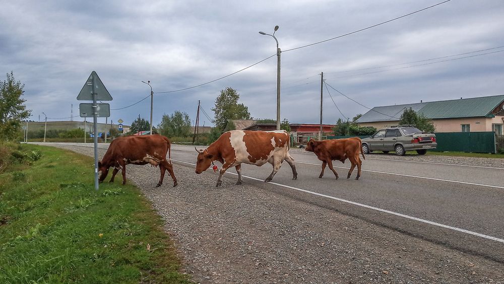 Photograph by Надежда Михайлина