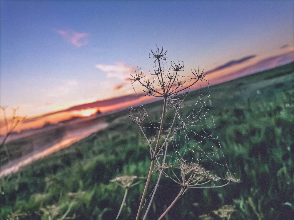 Photograph by Наталья Веряскина