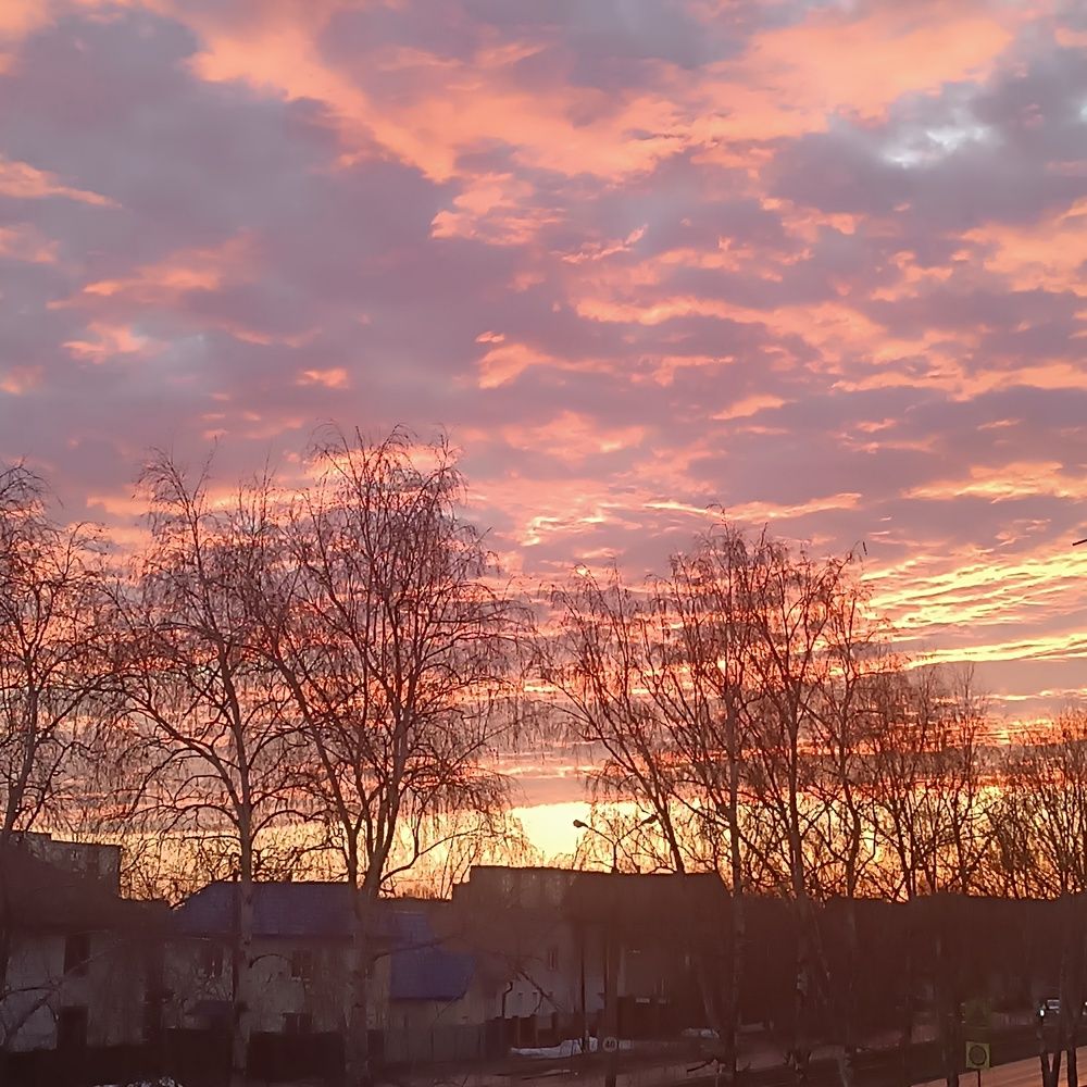 Photograph by Елена Колышева