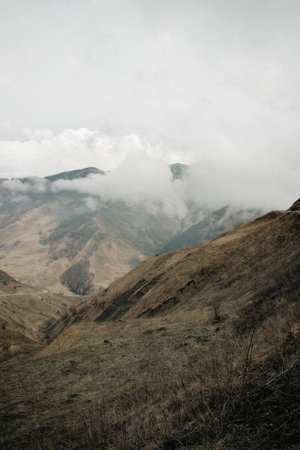 Photo #13490248