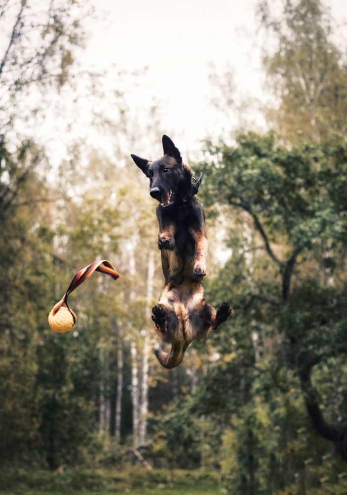 Photograph by Татьяна