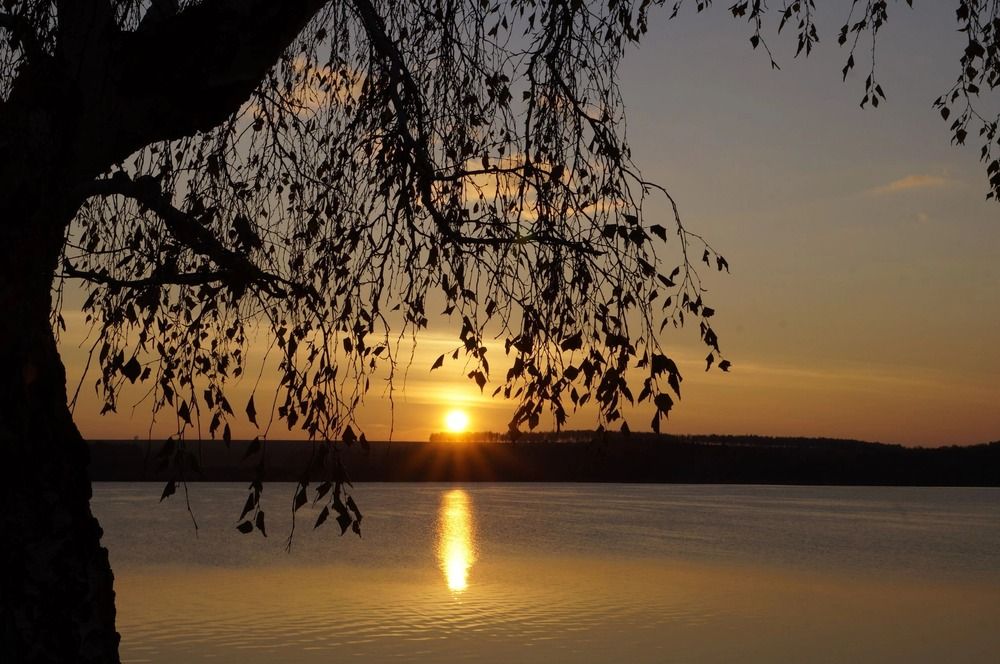 Photograph by Ольга Шангареева