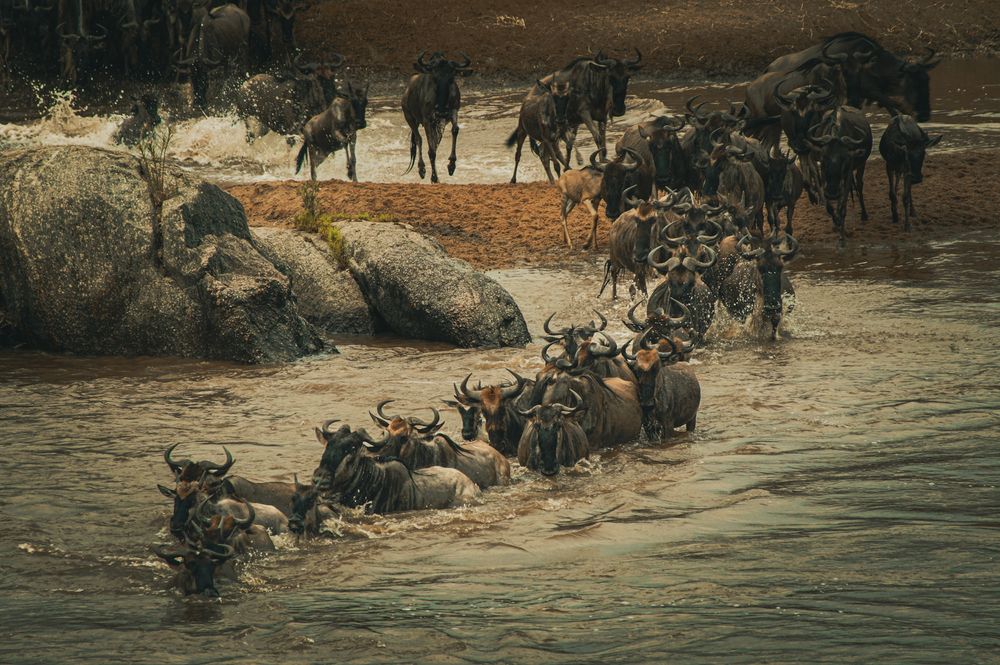 Photograph by Dipanjan Ray