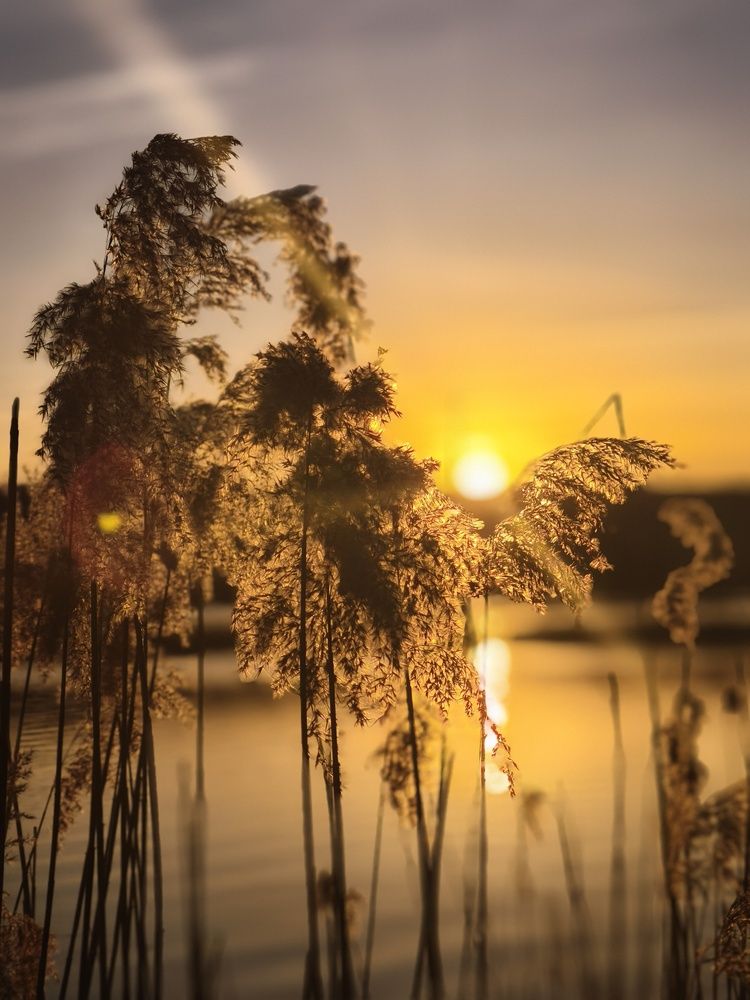 Photograph by Полина Сульженко