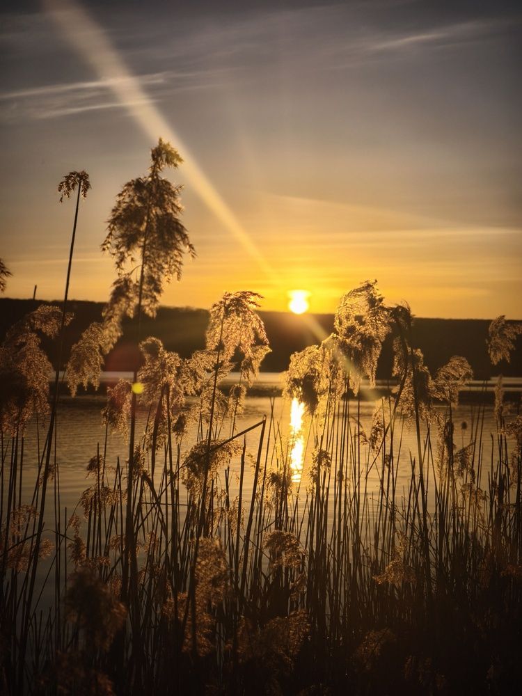 Photograph by Полина Сульженко