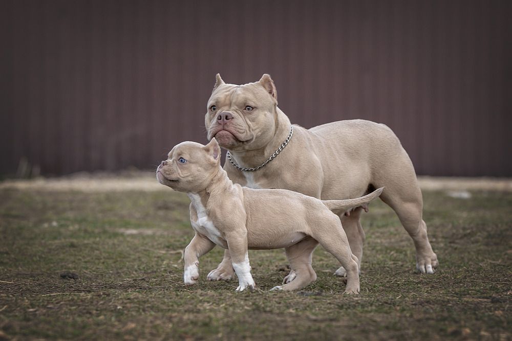Photograph by Кристина Невлер