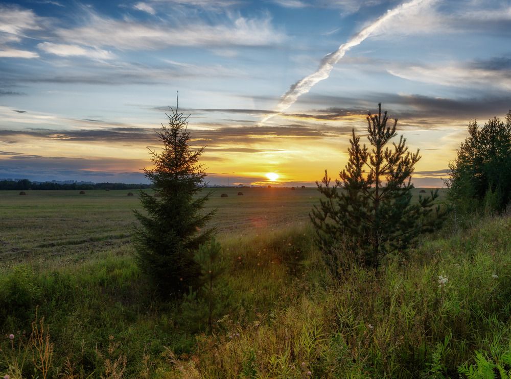 Photograph by Светлана Ващенко