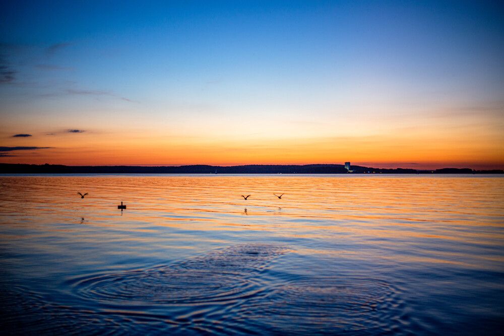 Photograph by Christina Oleshkevich