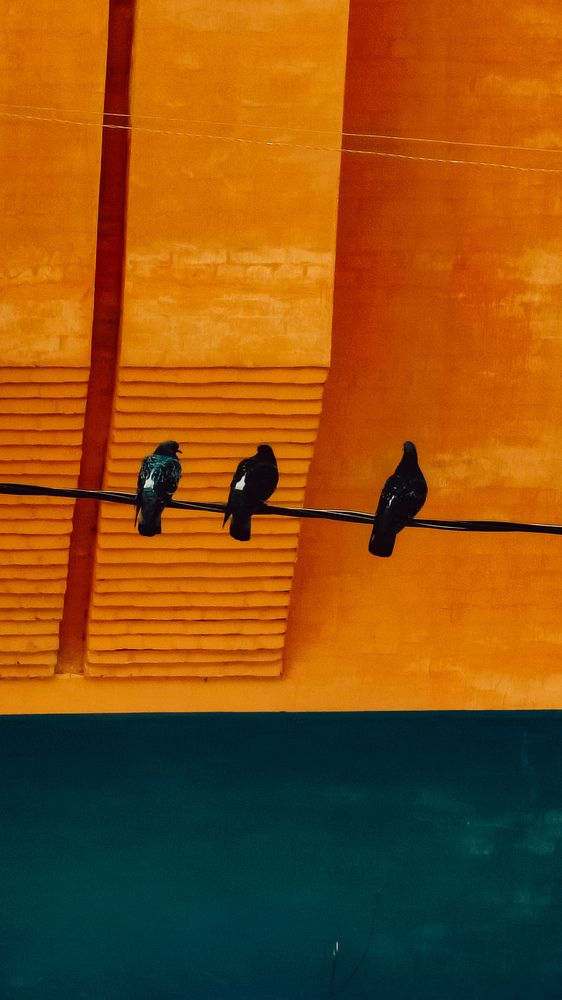 Photograph by Людмила Горячева