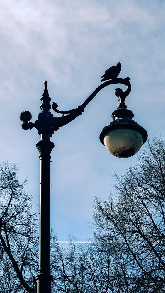 Photograph by Людмила Горячева