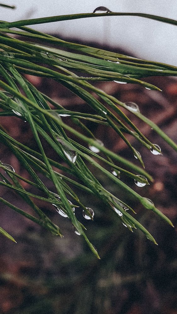 Photograph by Людмила Горячева