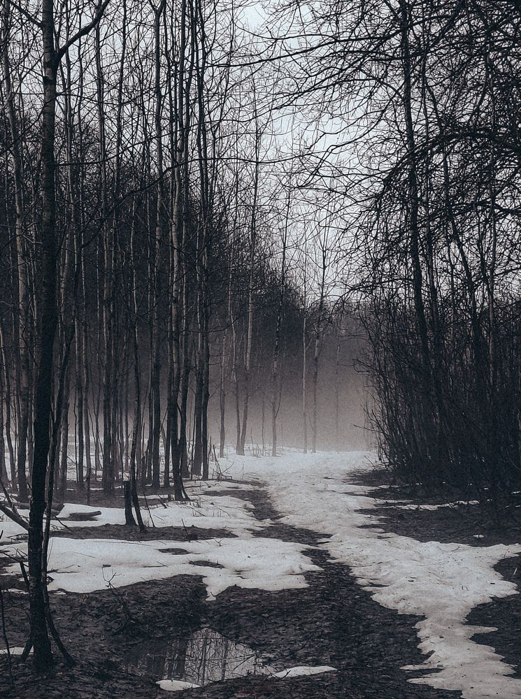 Фотография автора Людмила Горячева