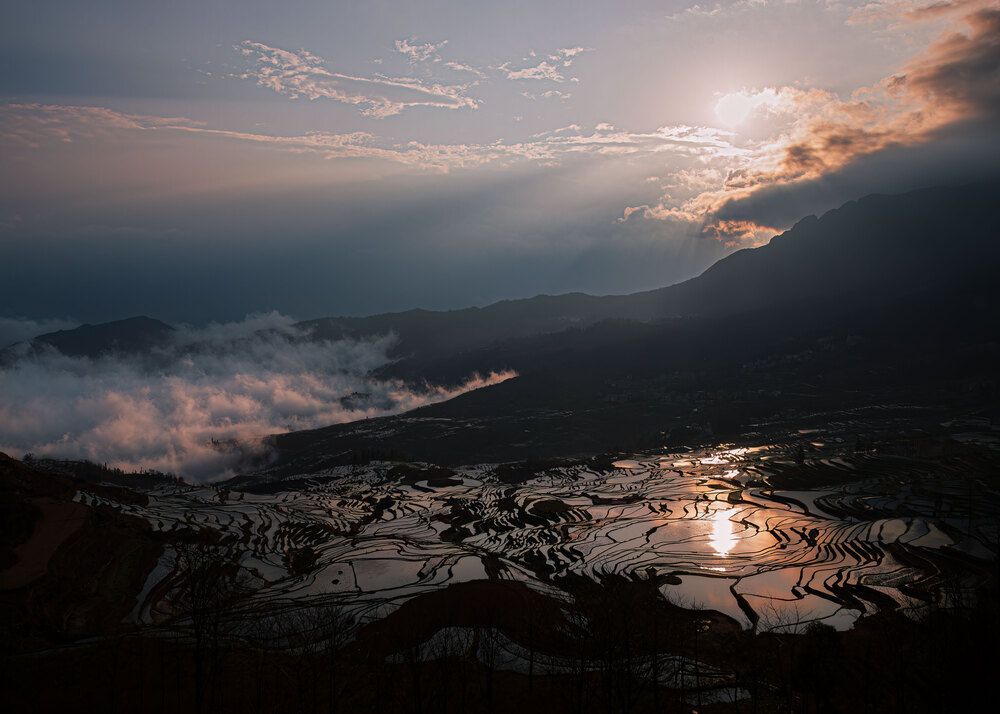 Photograph by yuanwei zuo