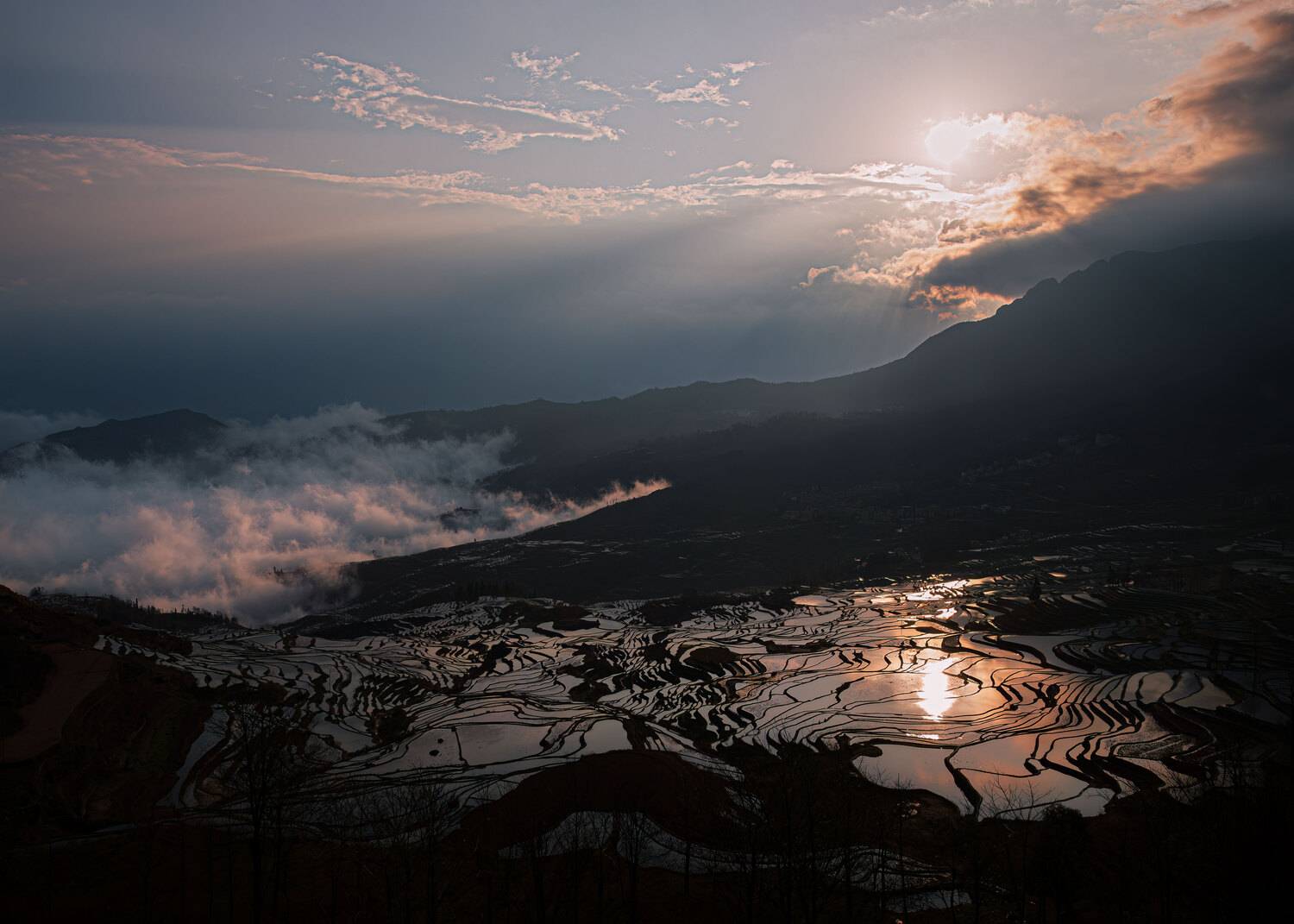 Photo #13491365