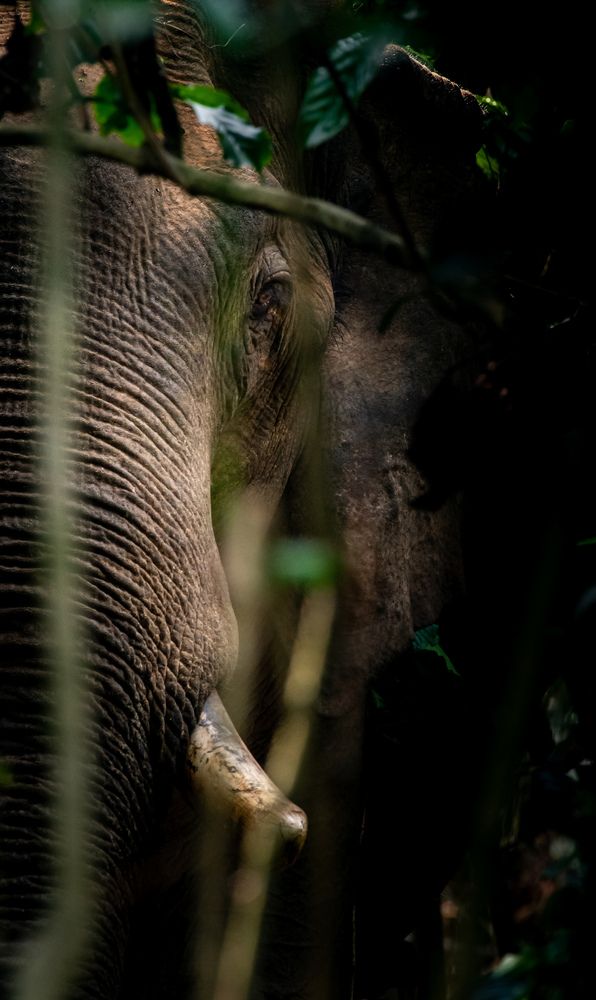 Photograph by Amal Frames