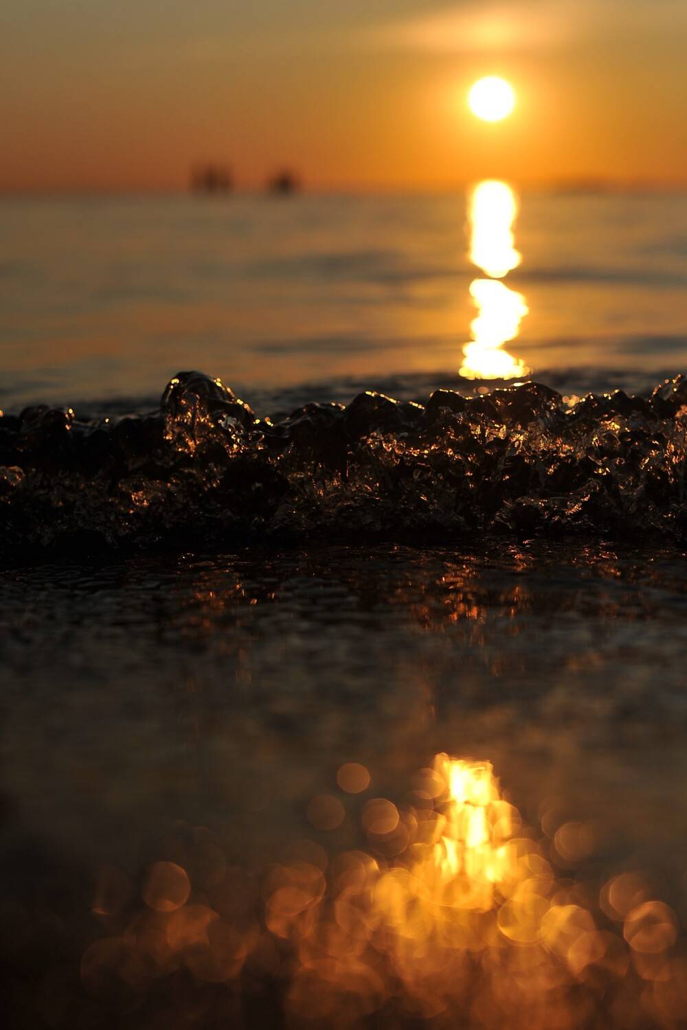 Photo #13491581