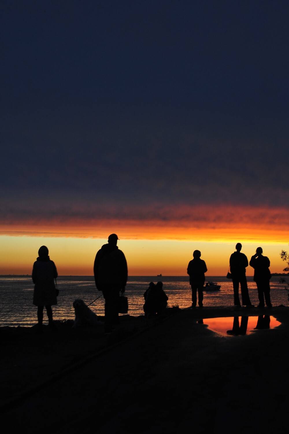 Photo #13491582