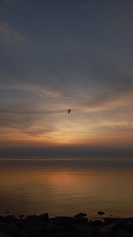Photograph by Ольга Пушленкова