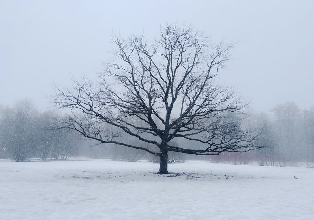 Photograph by Гордий Михаил