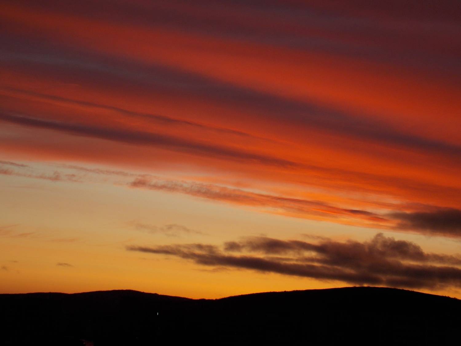 Photo #13491845