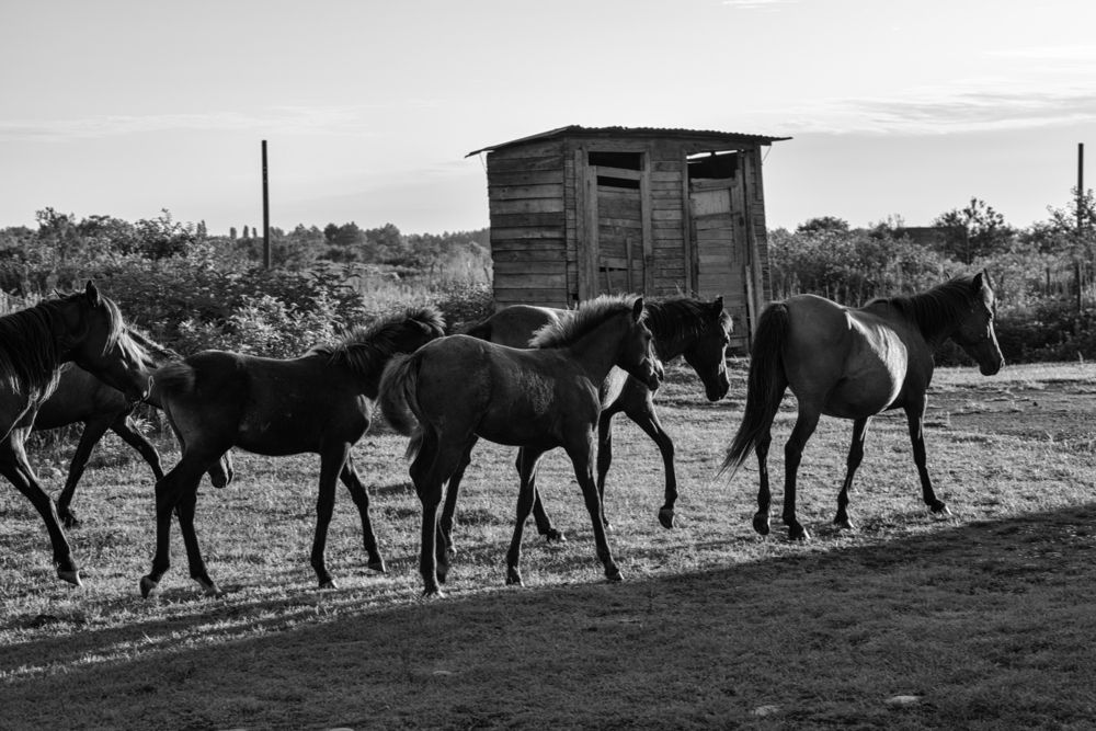 Photograph by Dimitri Bakhtadze