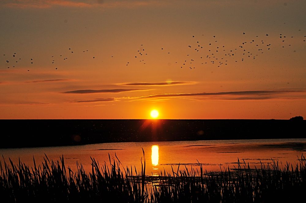 Photograph by Игорь Галеев
