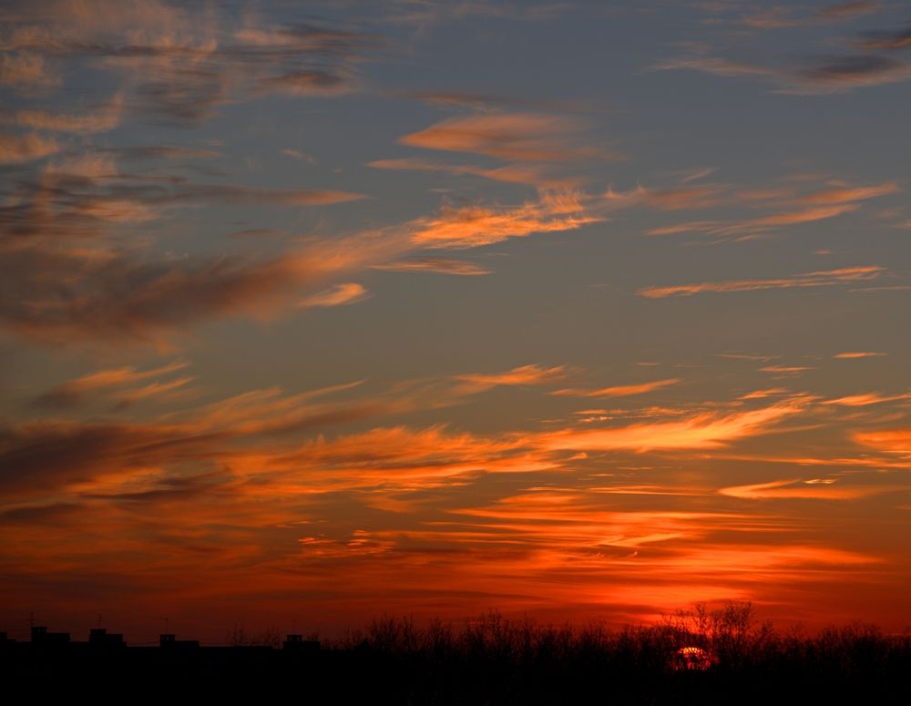 Photograph by Михаил Король