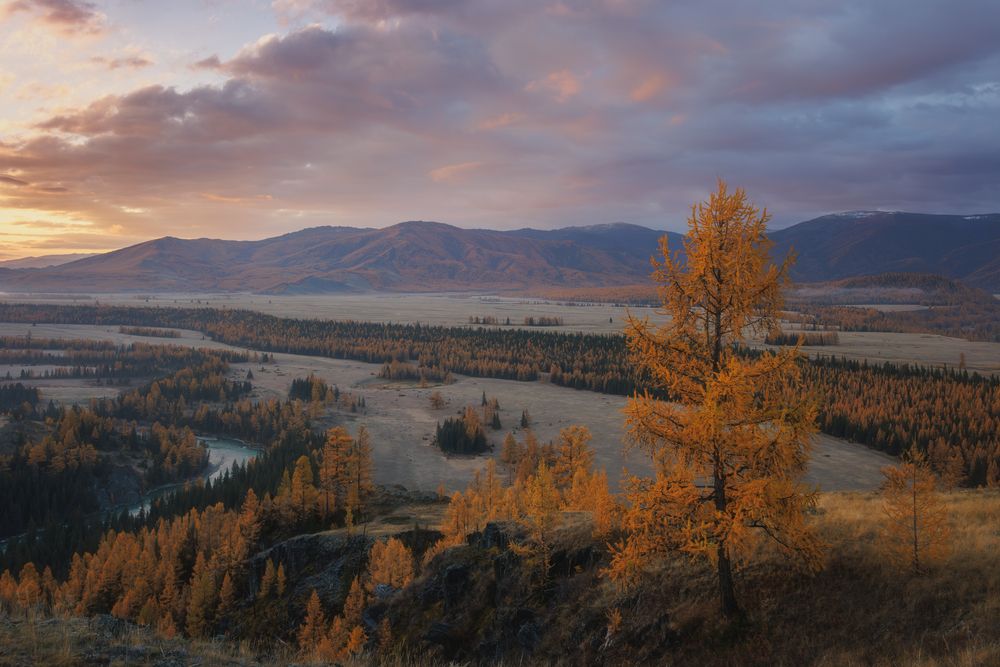 Фотография автора Морозов Сергей