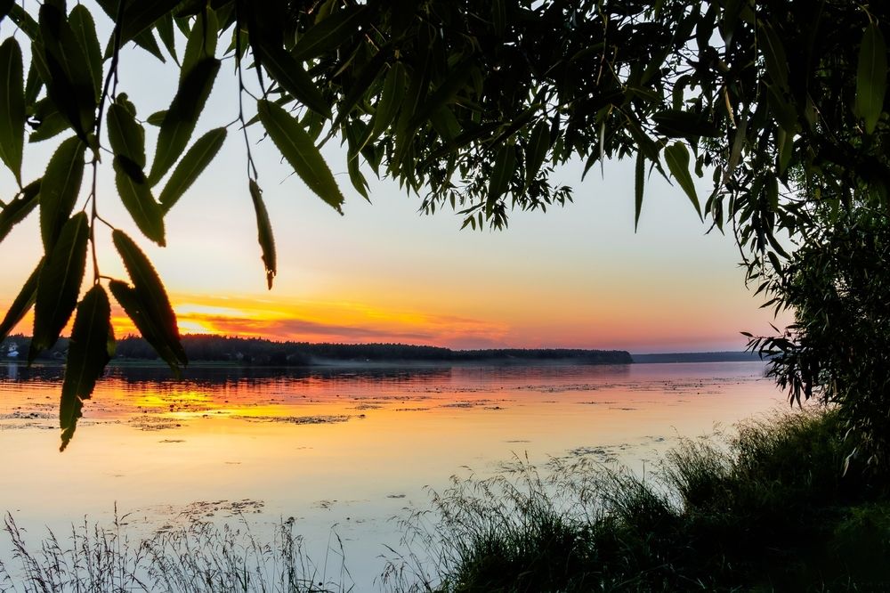 Photograph by Дмитрий Корягин