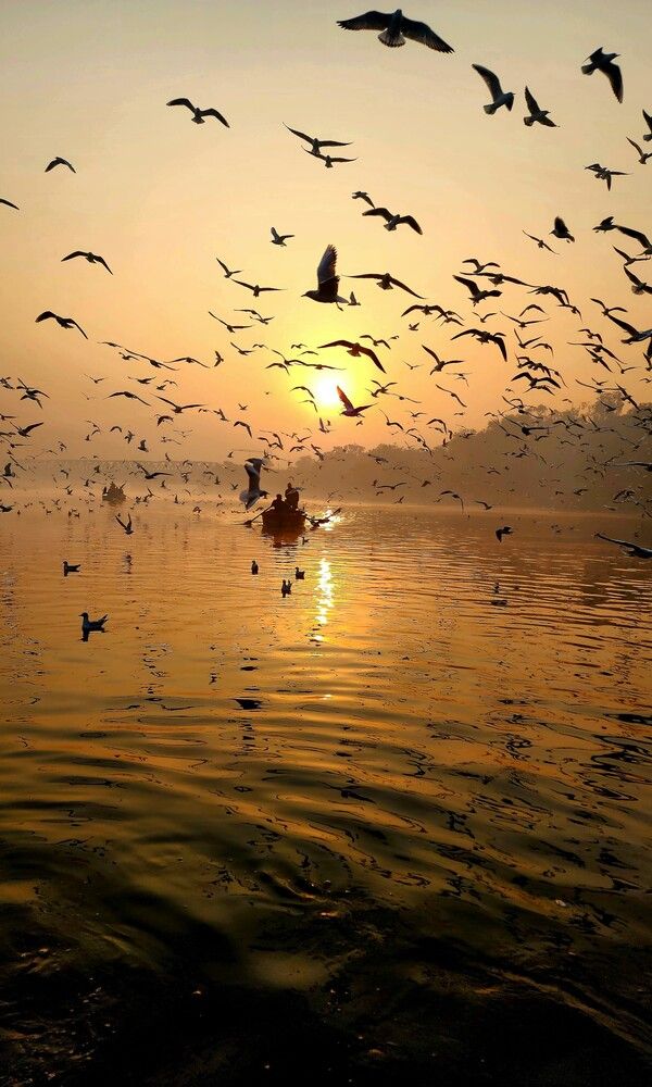 Photograph by G GOVIL