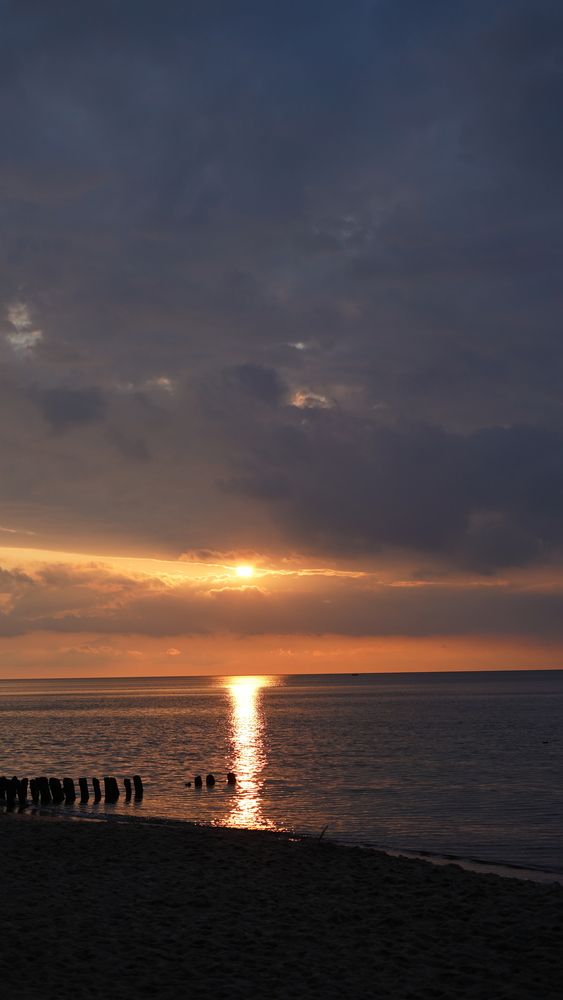 Photograph by Алена Баулина